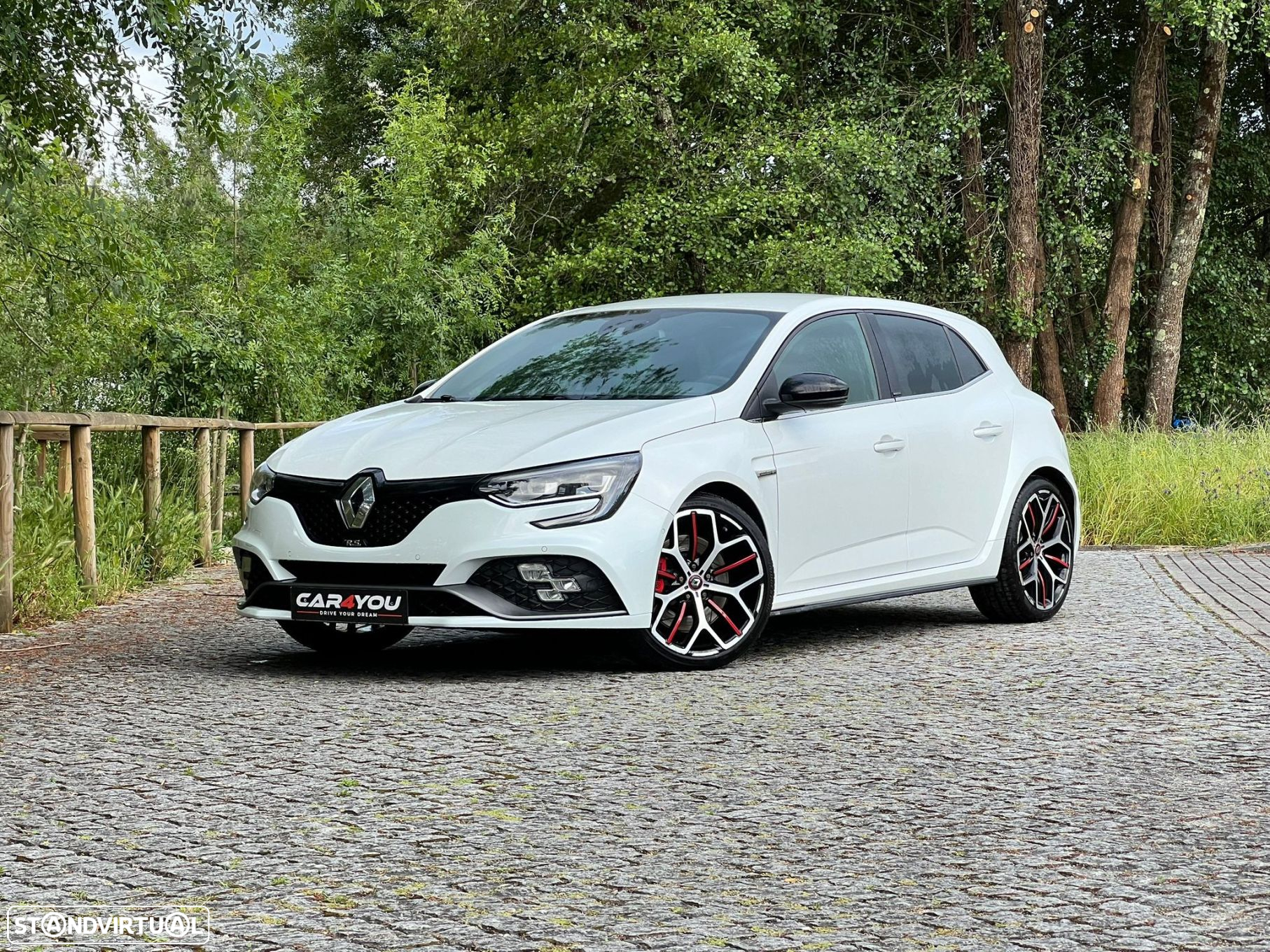 Renault Mégane 1.8 TCe R.S. Trophy EDC - 10