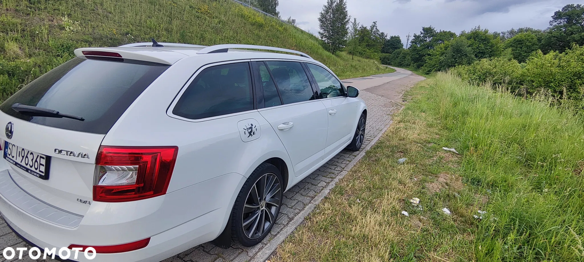 Skoda Octavia 2.0 TDI 4x4 L&K DSG - 3