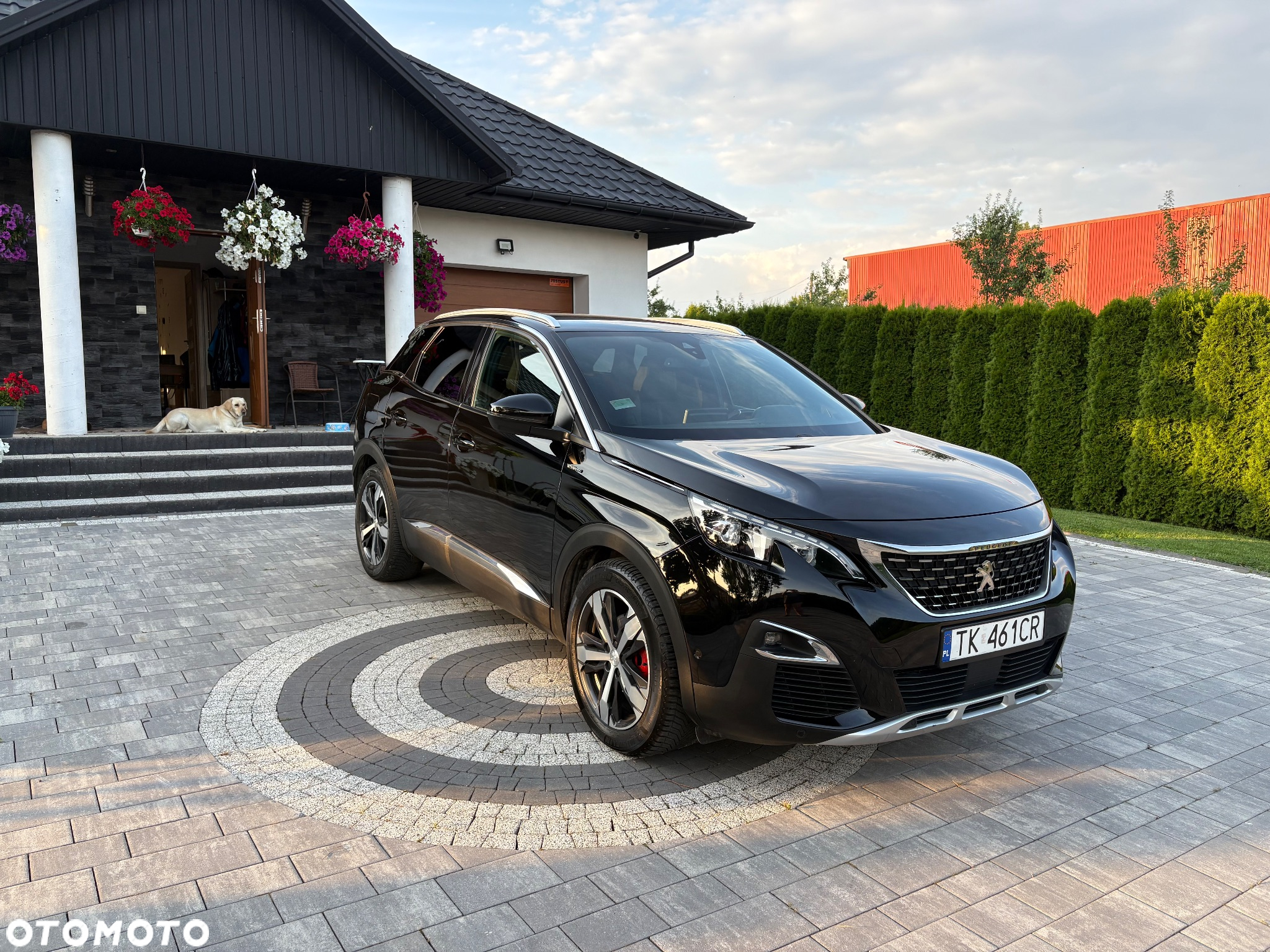 Peugeot 3008 - 6