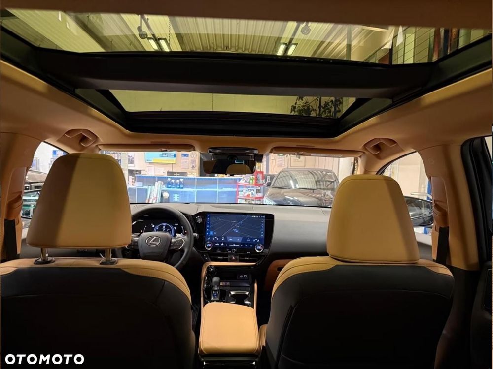 Lexus NX - 18