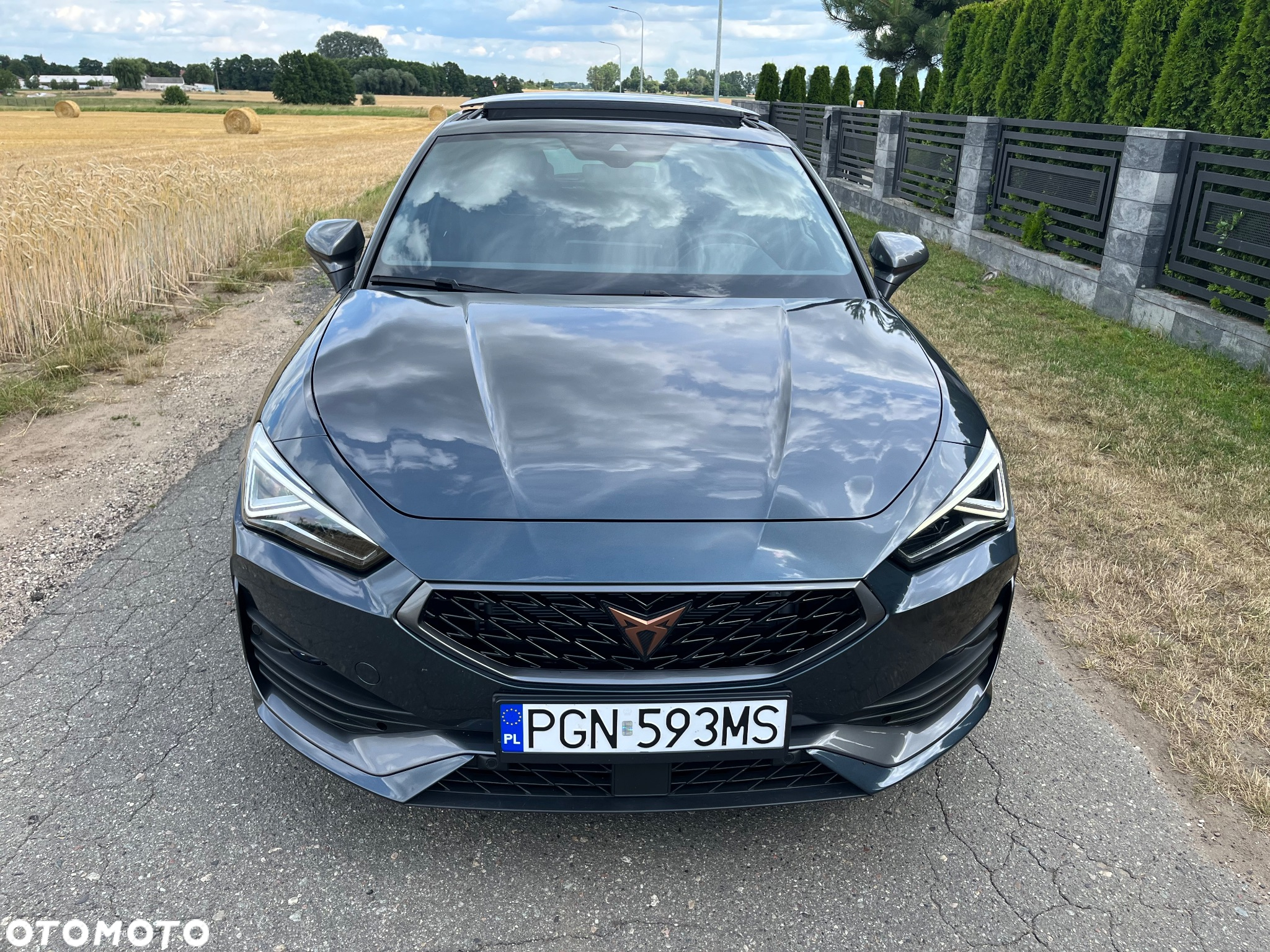 Cupra Leon 2.0 TSI DSG - 2