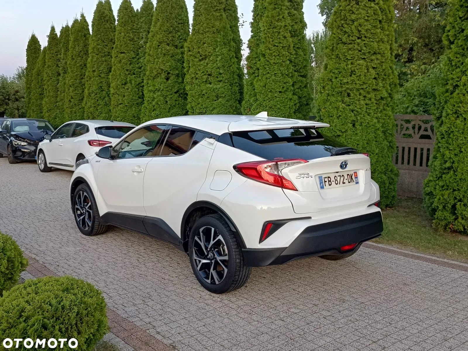 Toyota C-HR - 6