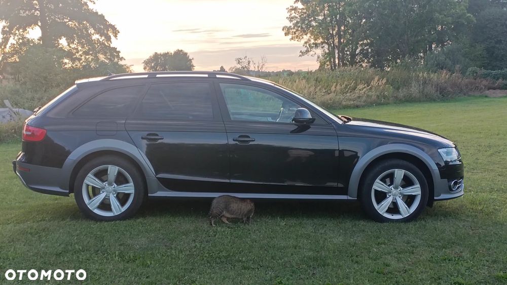 Audi A4 Allroad 2.0 TDI Quattro S tronic - 11