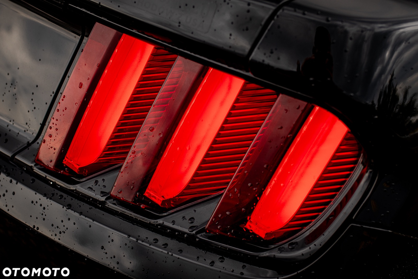 Ford Mustang 2.3 EcoBoost - 13