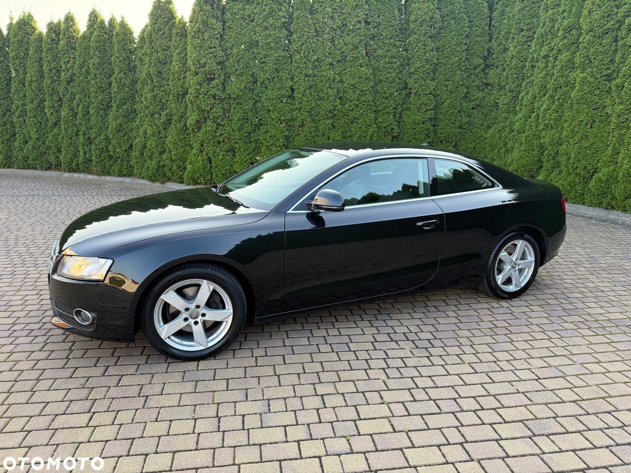 Audi A5 - 7