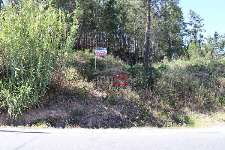 Terreno - Grande imagem: 4/10