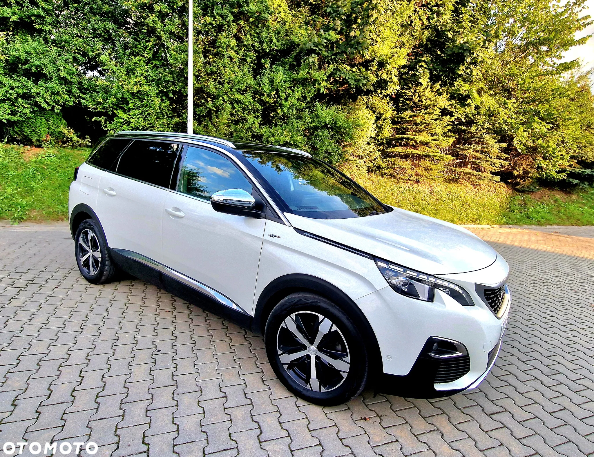 Peugeot 5008 2.0 BlueHDi GT S&S EAT8 - 20