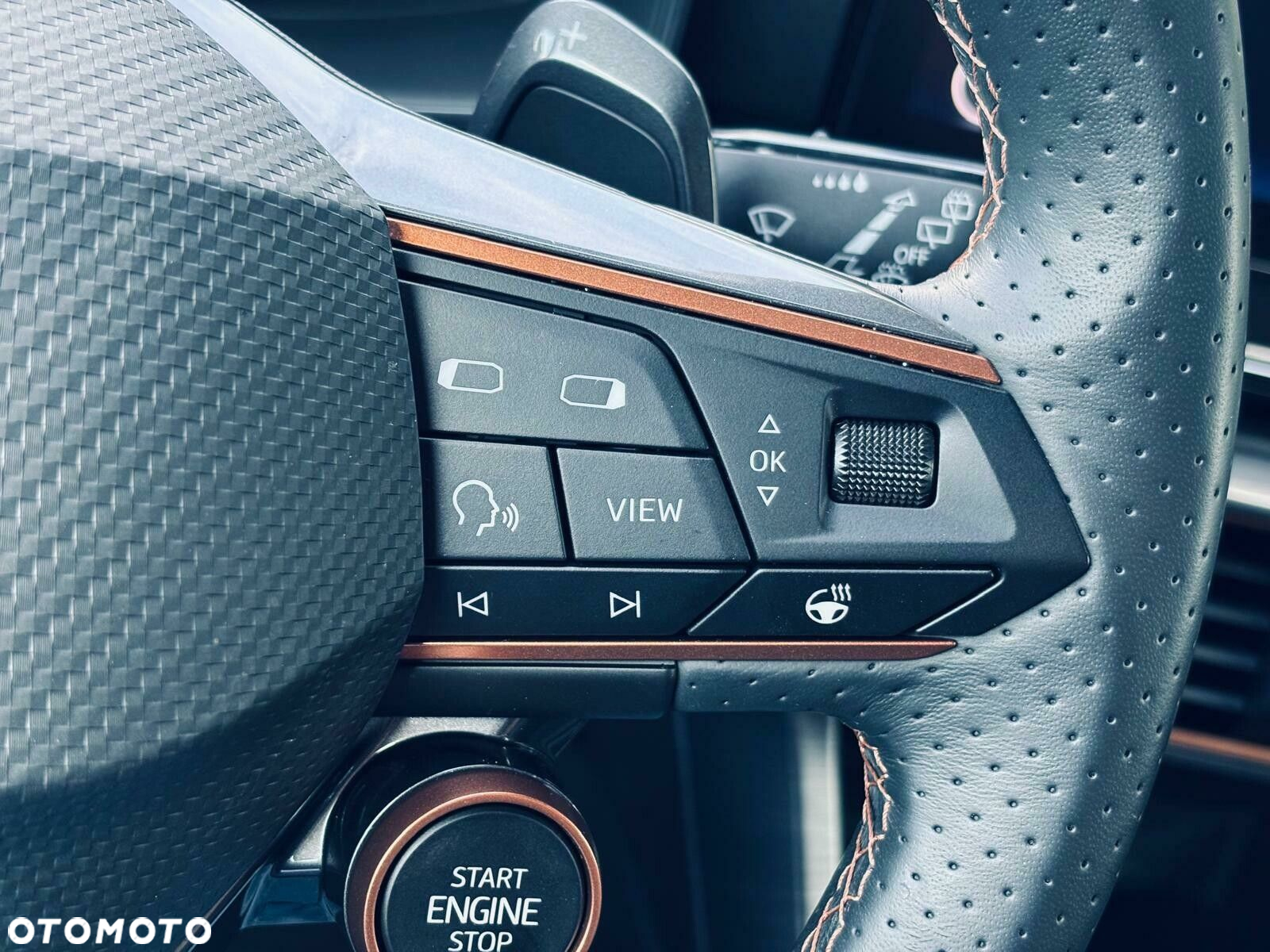 Cupra Formentor 2.0 TSI 4Drive VZ DSG - 25