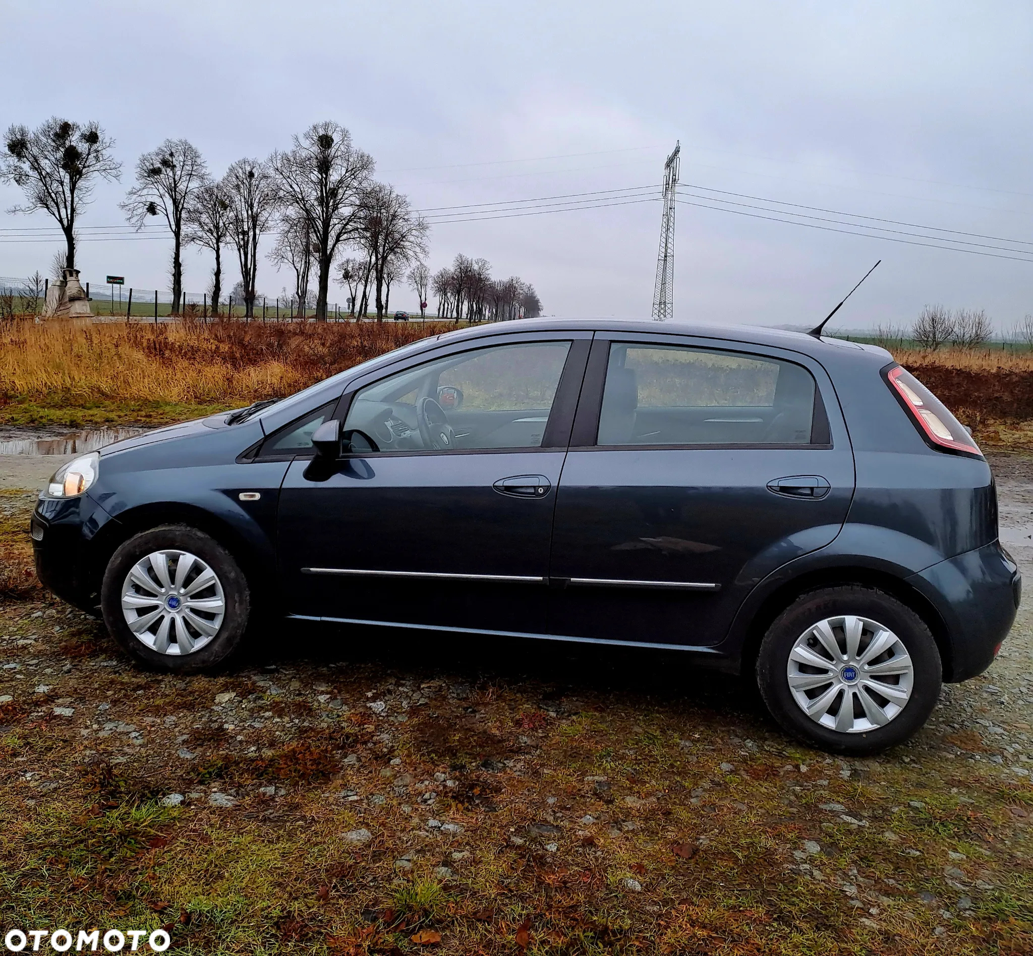 Fiat Punto 1.4 Estiva S&S - 3