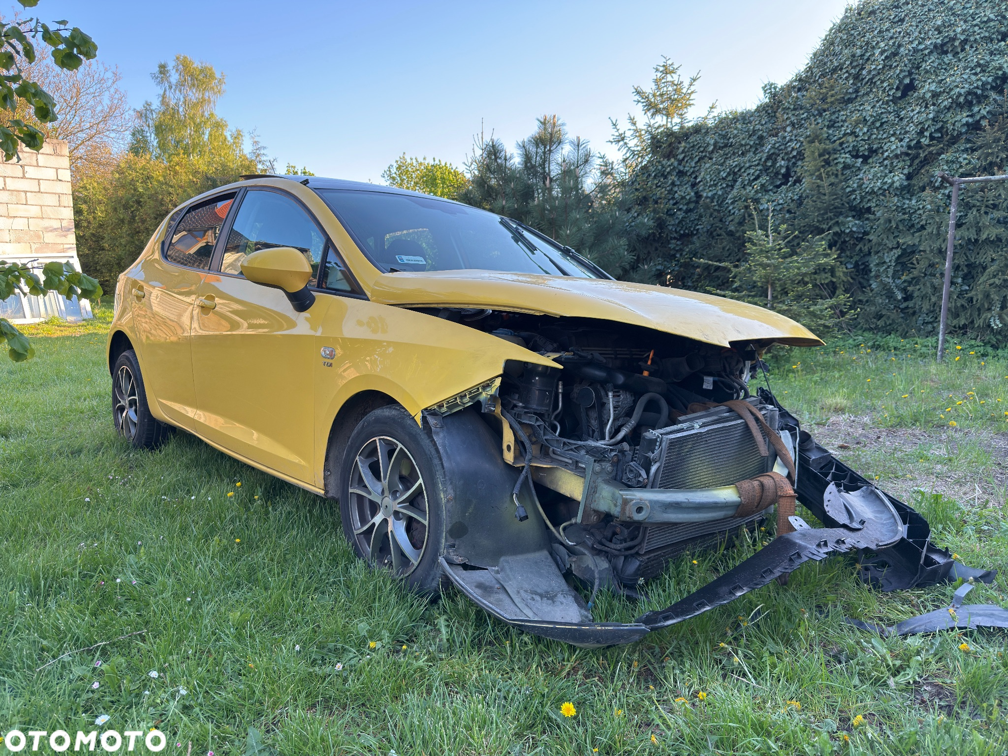 Seat Ibiza 1.9 TDI DPF Reference - 5