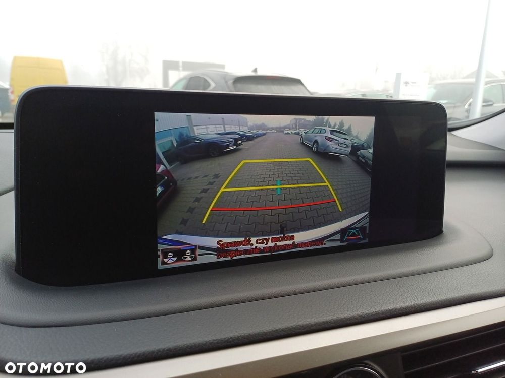 Lexus RX 450h F-Impression - 14