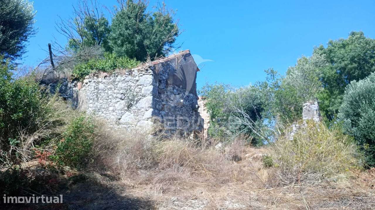 Imóvel centenário em ruinas - Grande imagem: 5/12