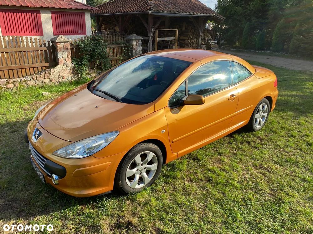 Peugeot 307 - 11