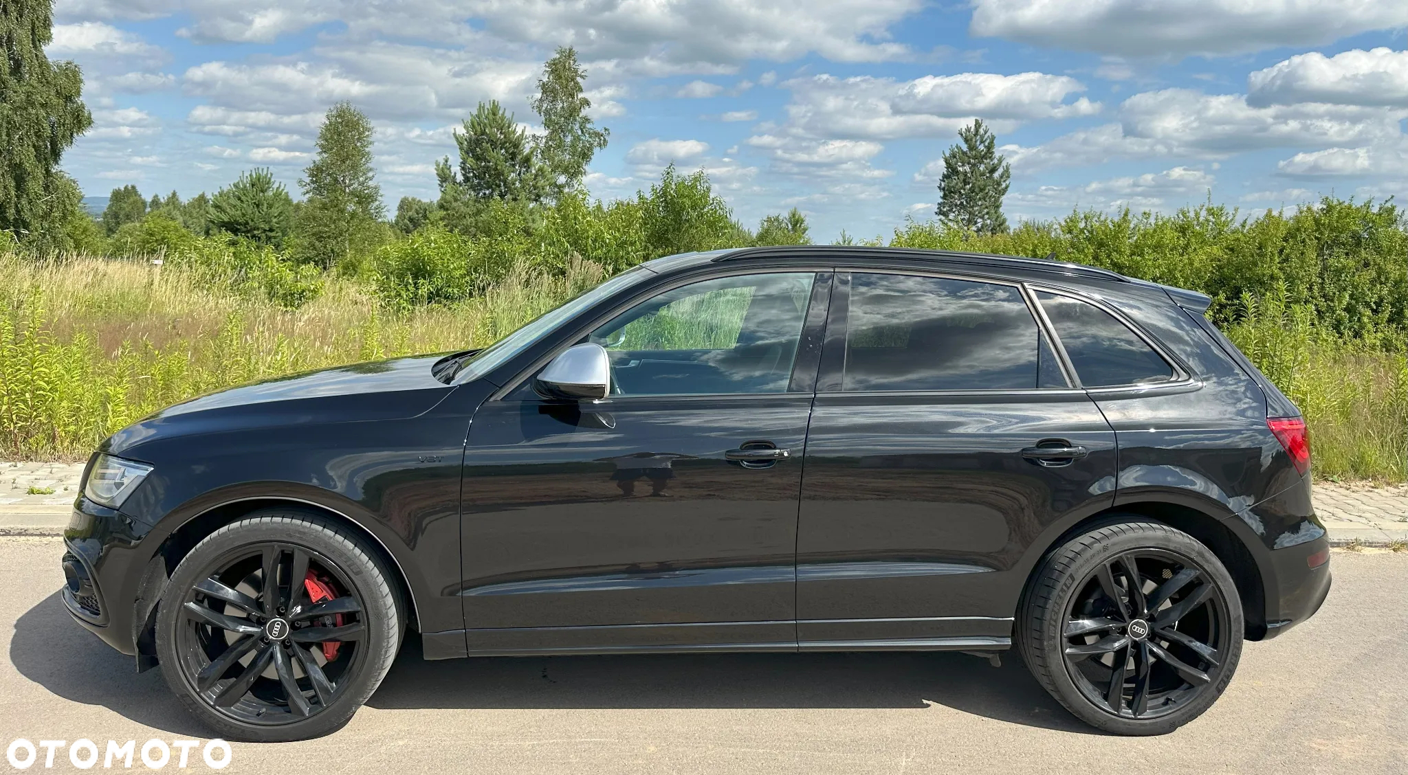Audi SQ5 3.0 TDI Quattro Tiptronic EU6 - 10