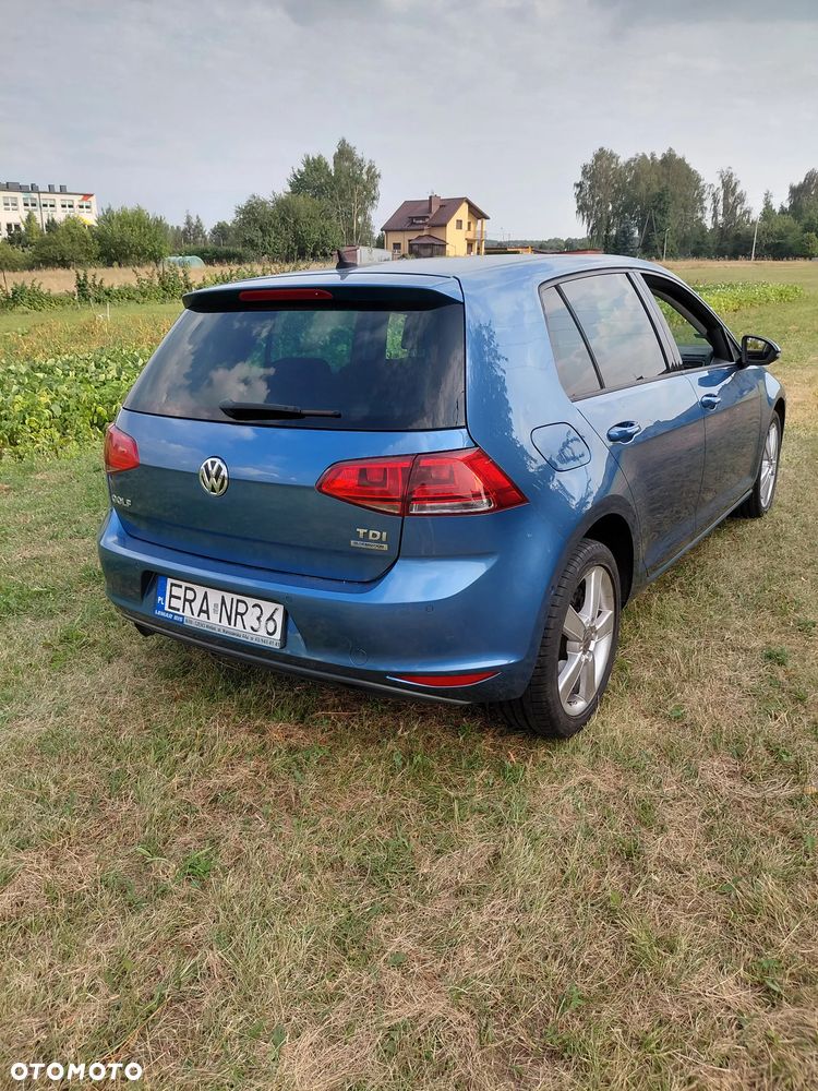 Volkswagen Golf 1.6 TDI DPF Highline - 6