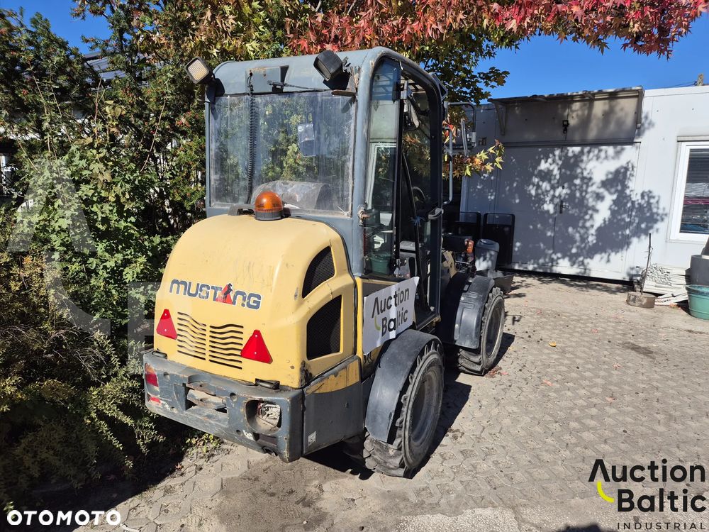 Inny Mustang AL 306 - 3