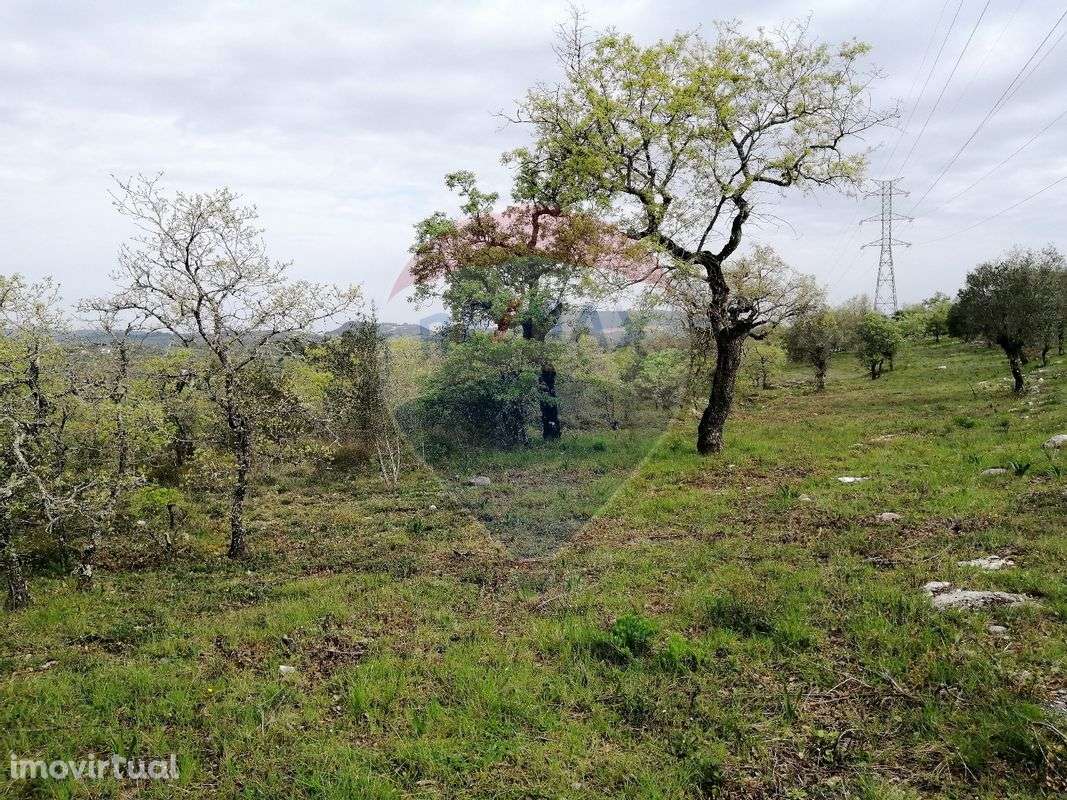 Terreno  para venda - Grande imagem: 3/8