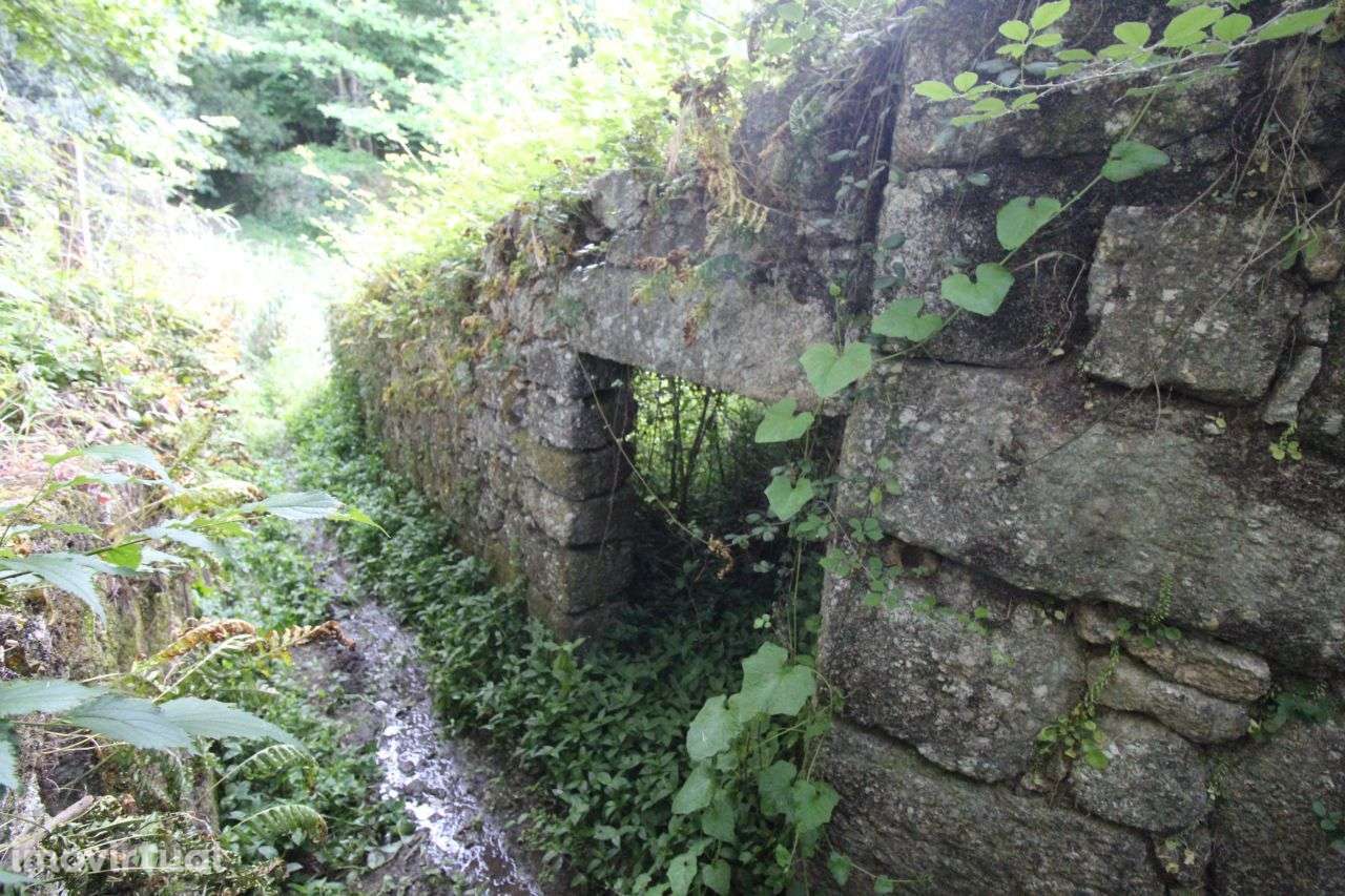 Moinho Junto a Ribeira – Grande Potencial - Grande imagem: 5/14