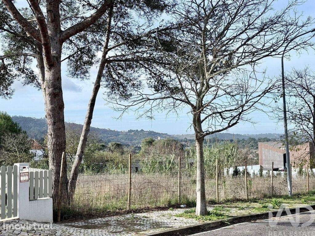 Terreno para construção em Sintra - Grande imagem: 3/11