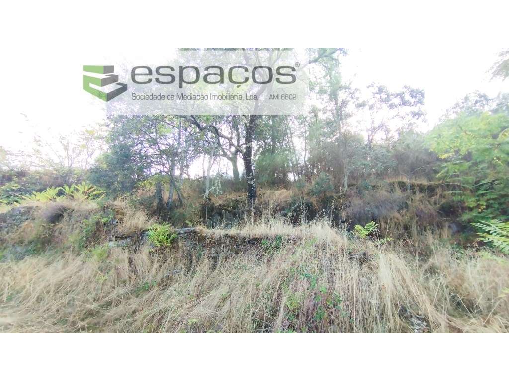 Terreno - Grande imagem: 4/7