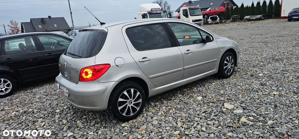 Peugeot 307 Break 110 Premium - 17