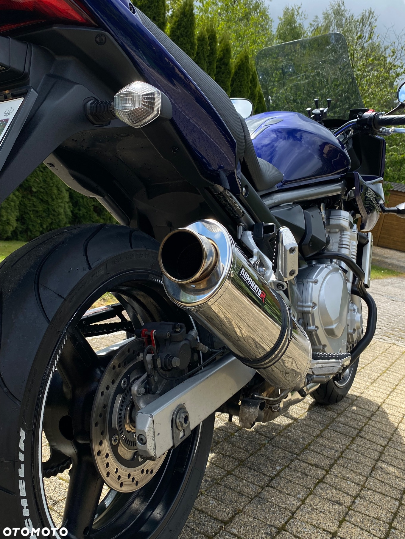 Suzuki Bandit - 9