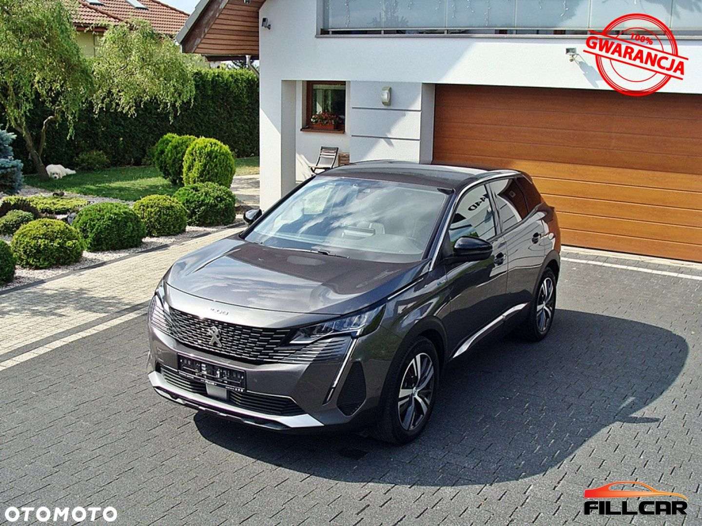 Peugeot 3008 - 26