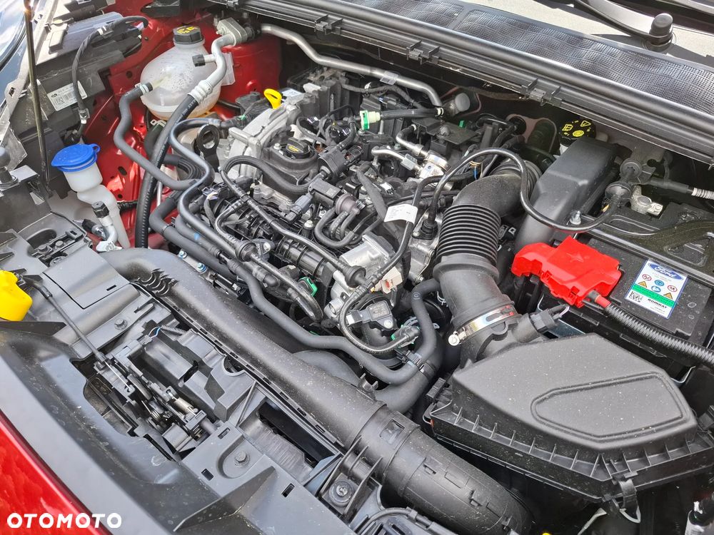 Ford Puma - 21