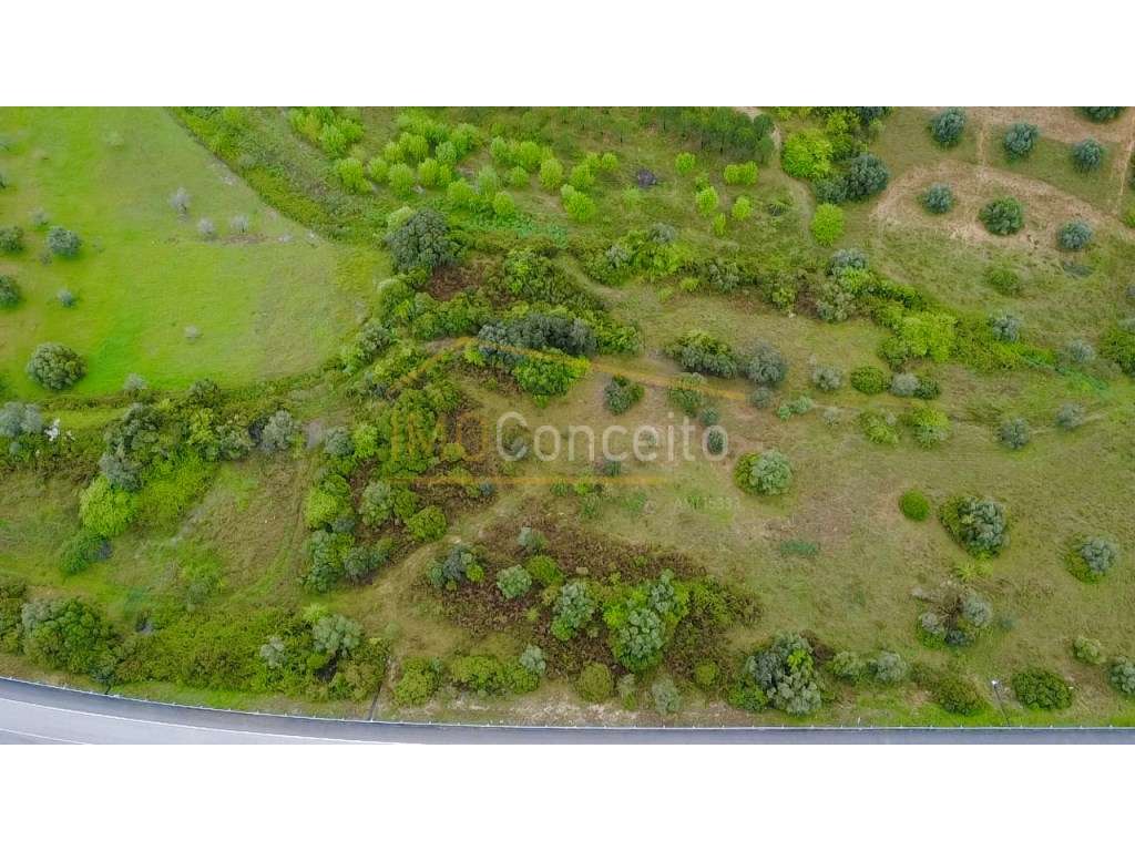 Terreno Rustico | Torres Novas - Zibreira - Grande imagem: 2/16