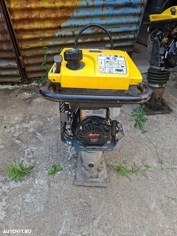 Alta Mai - 6