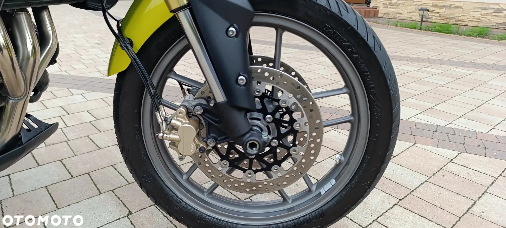 Triumph Tiger - 30