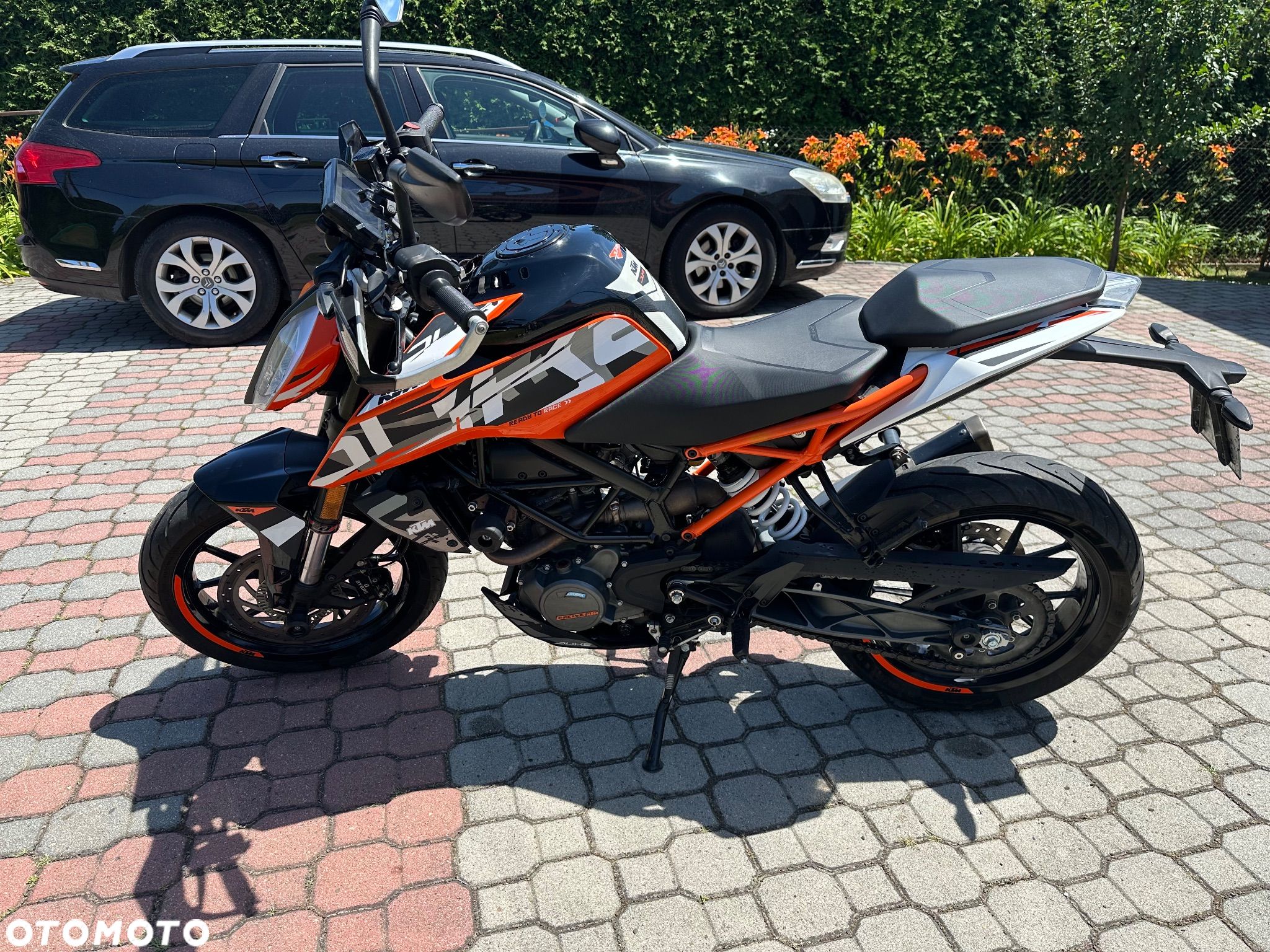 KTM Duke - 1