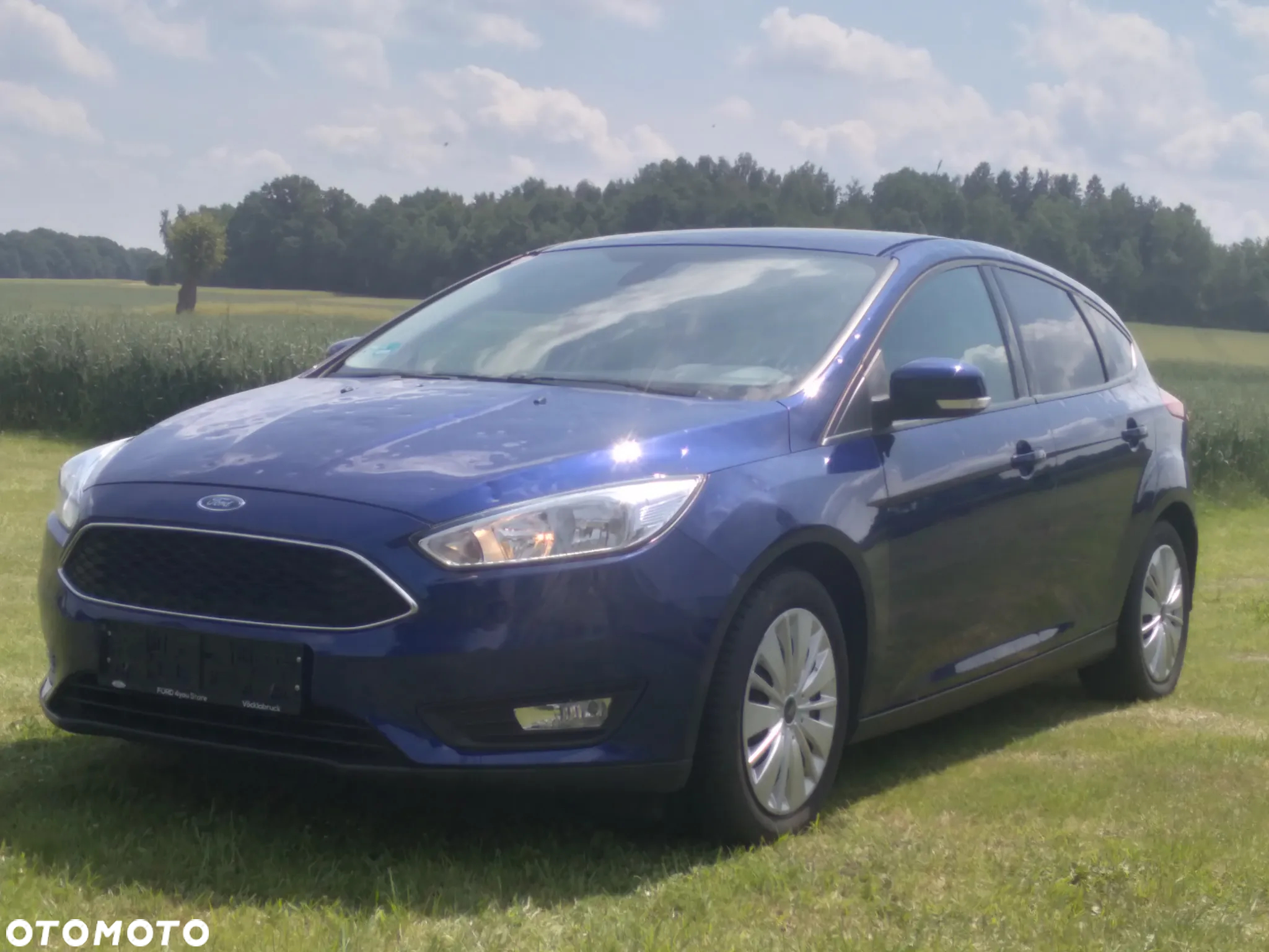 Ford Focus - 2