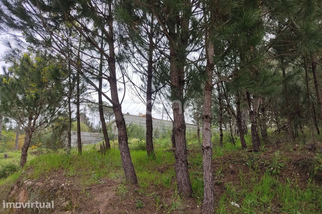 Lote de terreno urbanizável - Venha construir o seu sonho - Grande imagem: 2/30