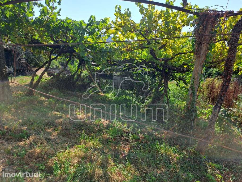 Terreno Urbanizável Gondarém - Grande imagem: 2/16