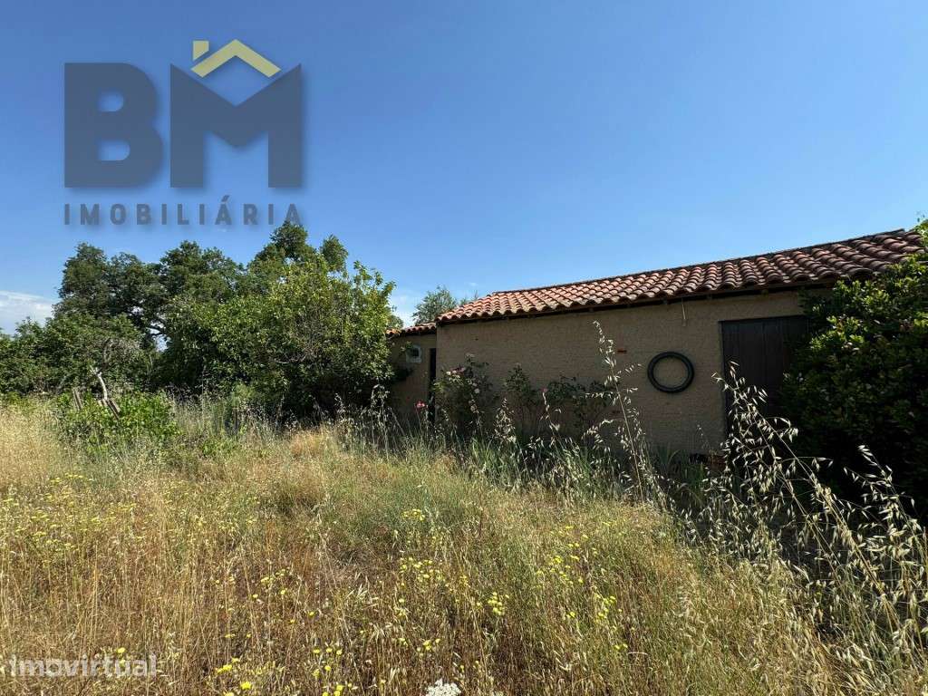 Terreno rústico com 9.840 m² à venda junto ao Freixial do Campo! - Grande imagem: 4/22