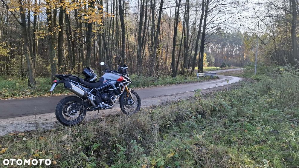 Triumph Tiger - 20