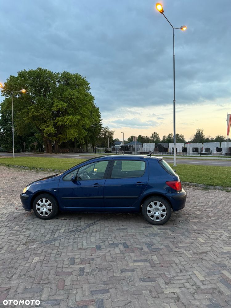Peugeot 307 - 6
