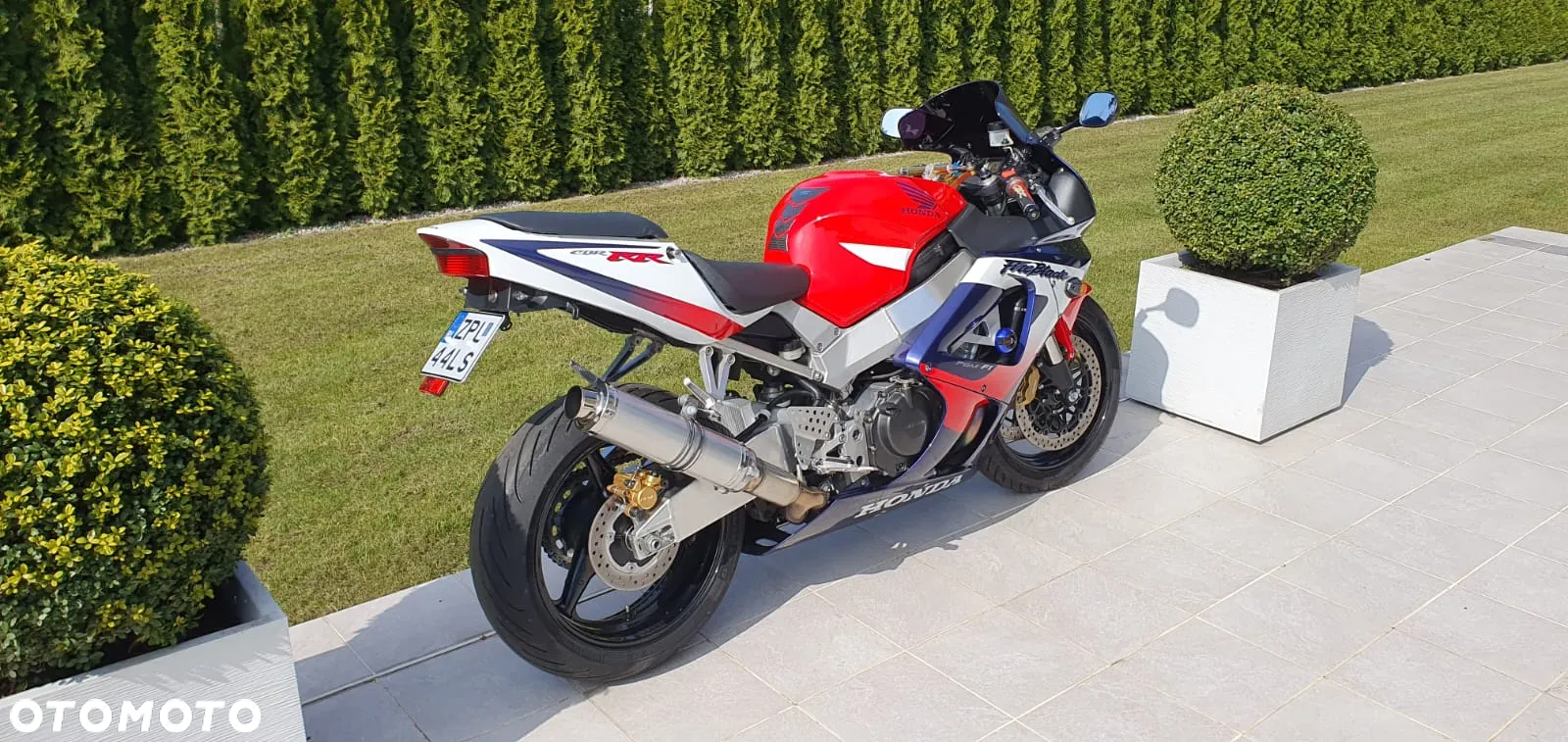 Honda CBR - 5