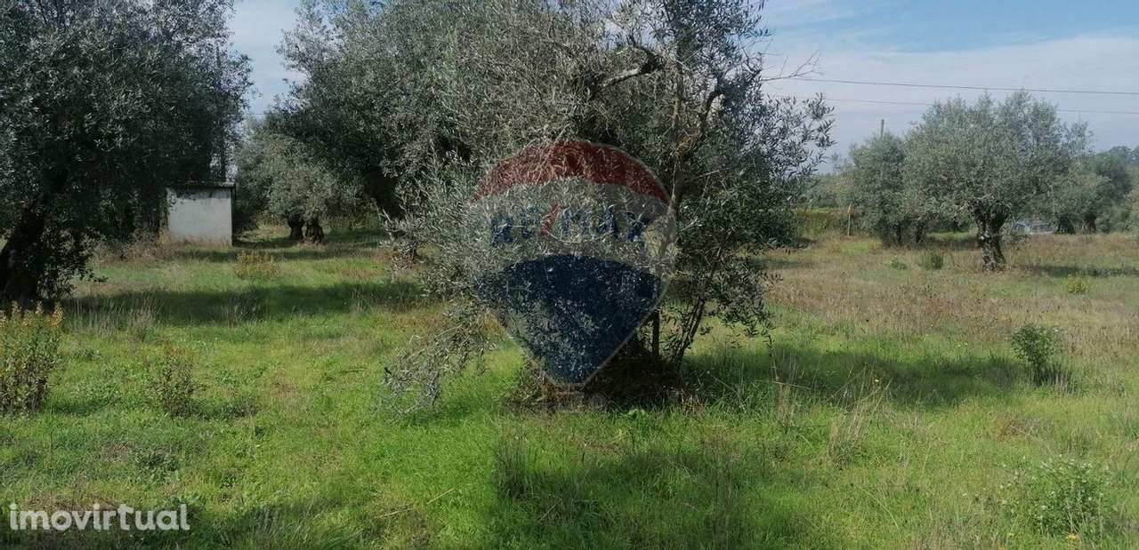 Terreno  para venda - Grande imagem: 4/10