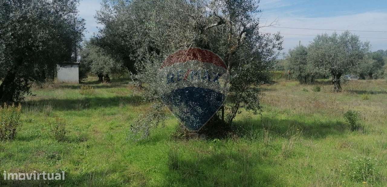 Terreno  para venda - Grande imagem: 4/10