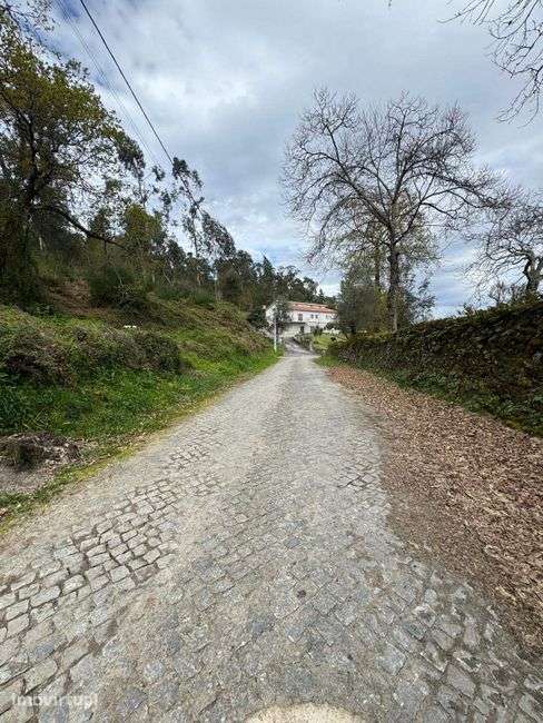 Excelente oportunidade de investimento em Vila Verde e Barbudo! - Grande imagem: 5/7