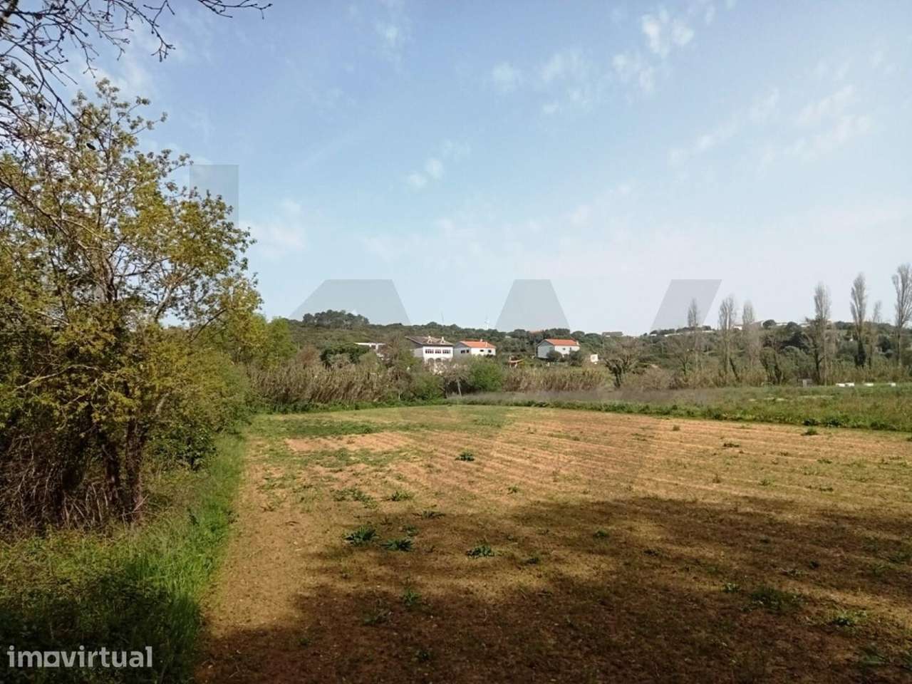 Terreno Agrícola em Ótima Localização com 3500 m2 Junto à Praia Ribeir - Grande imagem: 3/7