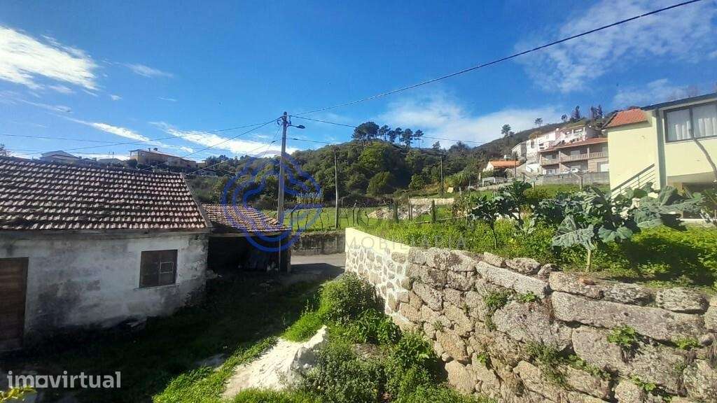 Quinta no Douro, Baião - Grande imagem: 4/45