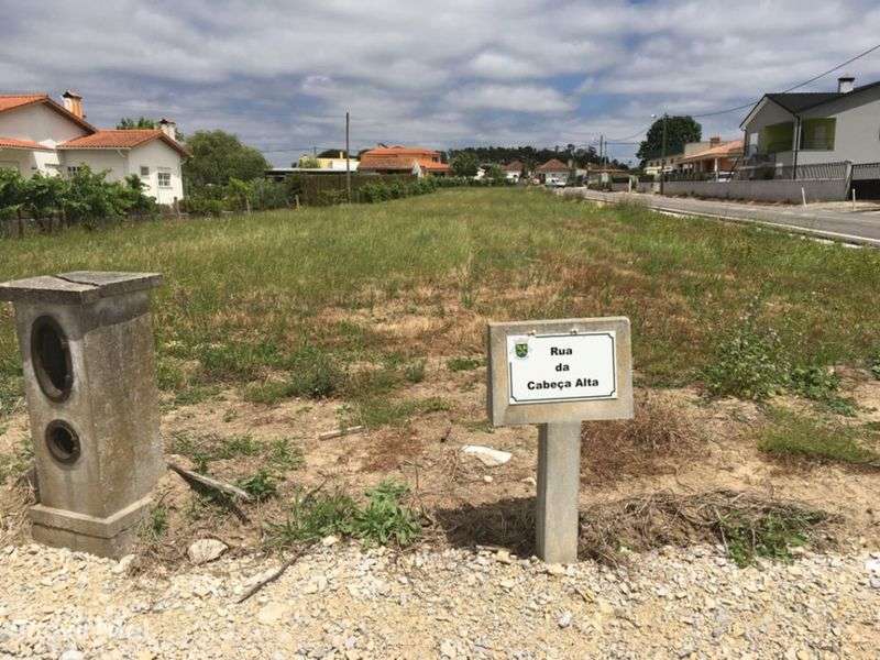 Terreno- Seixo- Gatões - Grande imagem: 3/5