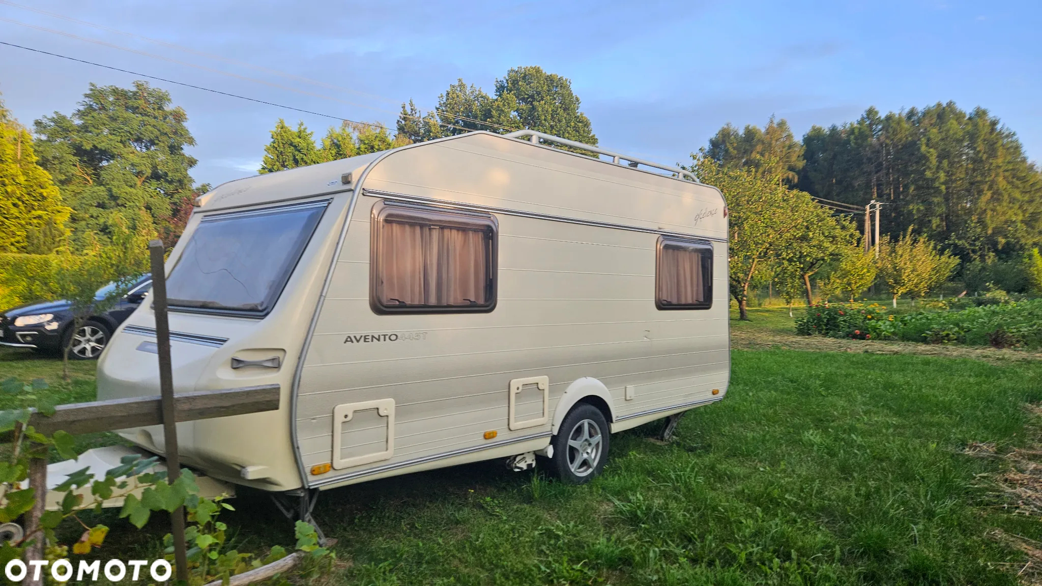 Avento Excellence 445 - 5