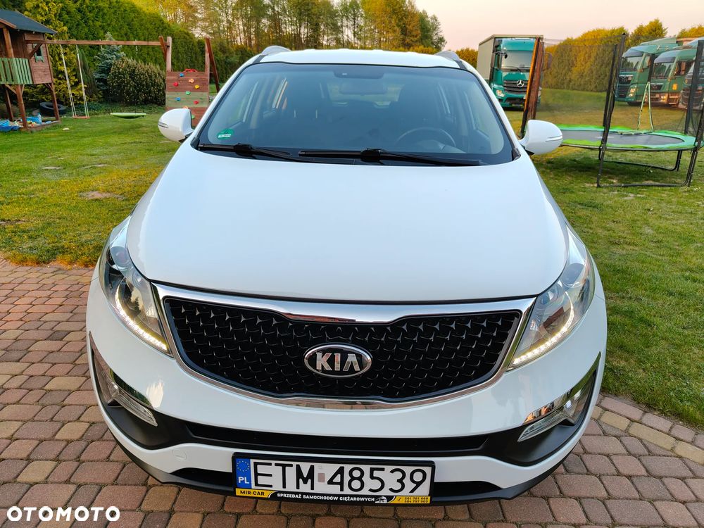 Kia Sportage - 1