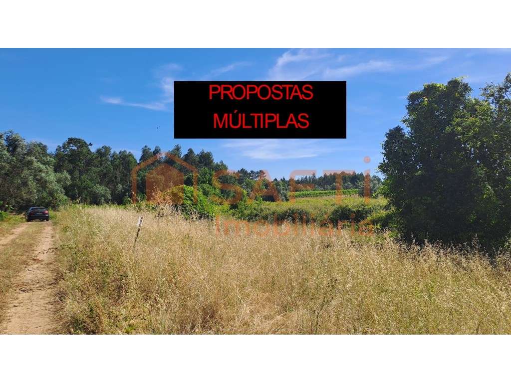 PROPOSTAS MÚLTIPLAS - Terreno agrícola com 5870 m2 e forte potencia... - Grande imagem: 2/17
