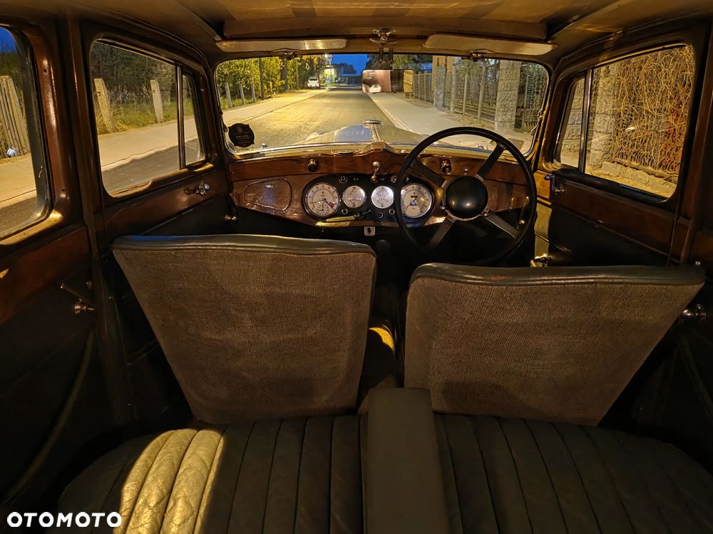 Jaguar Inny - 19
