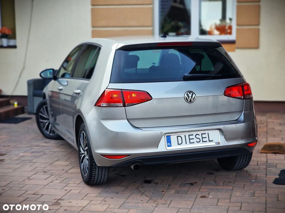 Volkswagen Golf 1.6 TDI BlueMotion Technology DSG Allstar - 19